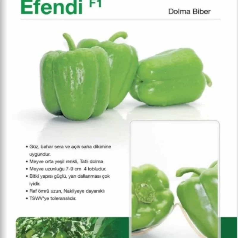 Efendi F1 Dolma Biber Fidesi